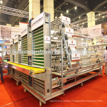 Layer poultry cage for chicken cage